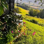 Fairy Tale House During World Cup *