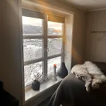 Fairy Tale House During World Cup * Melhus