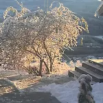 Fairy Tale House During World Cup Melhus