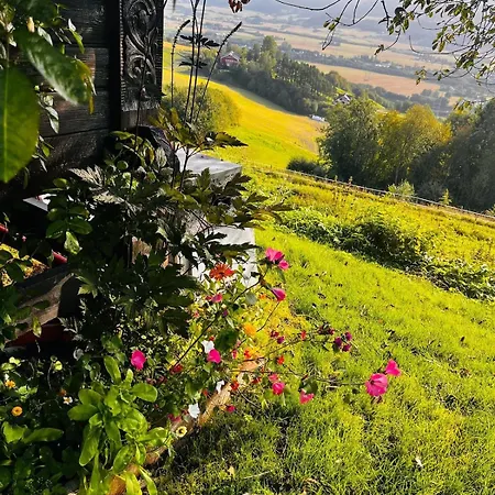 Fairy Tale House During World Cup *