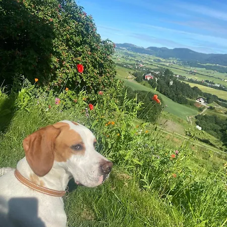 Fairy Tale House During World Cup Villa