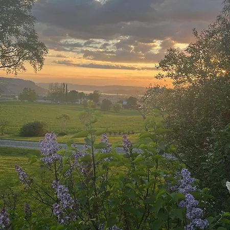 Villa Fairy Tale House During World Cup *