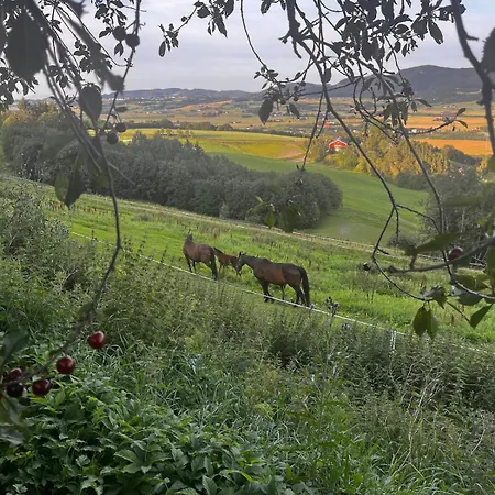 Fairy Tale House During World Cup Villa *